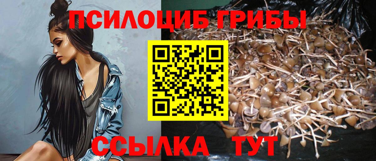 Псилоцибиновые грибы MAGIC MUSHROOMS Сальск