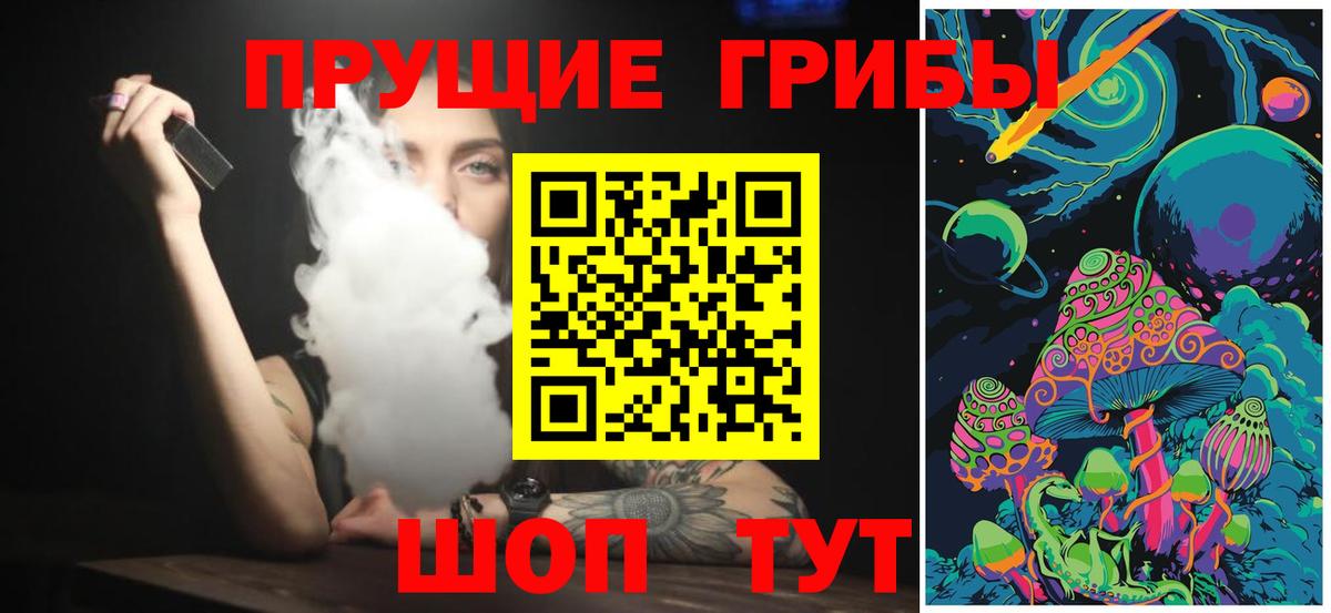 где можно купить   Вход с VPN  Сальск  Псилоцибиновые грибы Magic Shrooms 